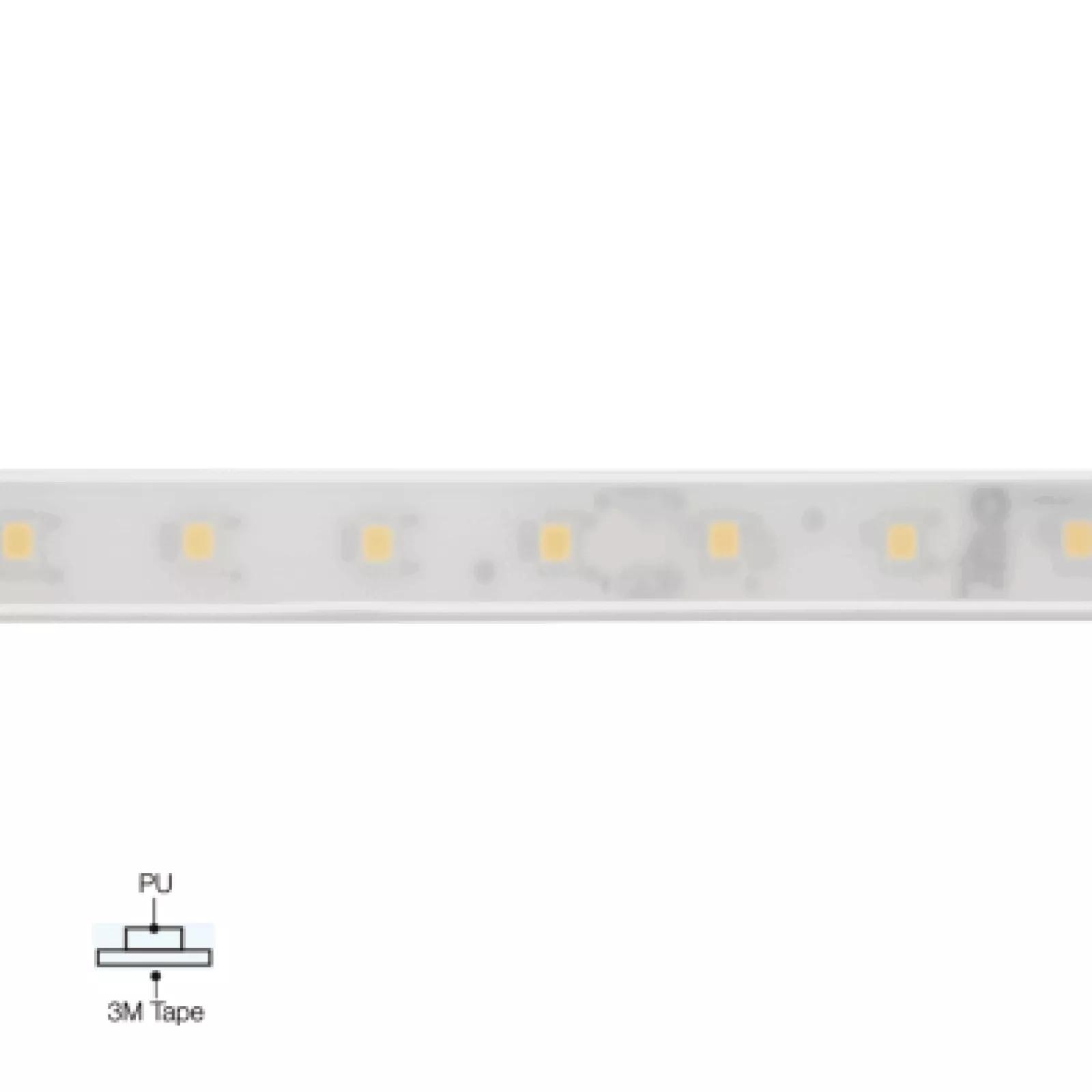 PU_C Plus 70 LEDs/m product