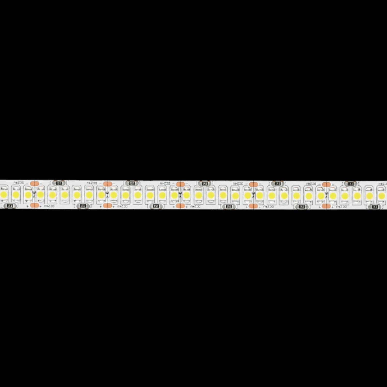 Ribbon 240 LEDs/m product