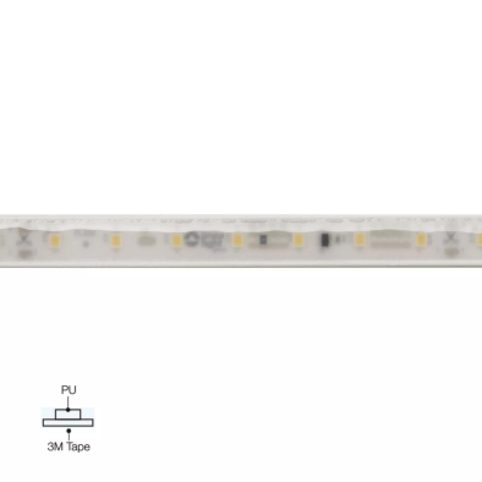 PU_C Plus 140 LEDs/m product